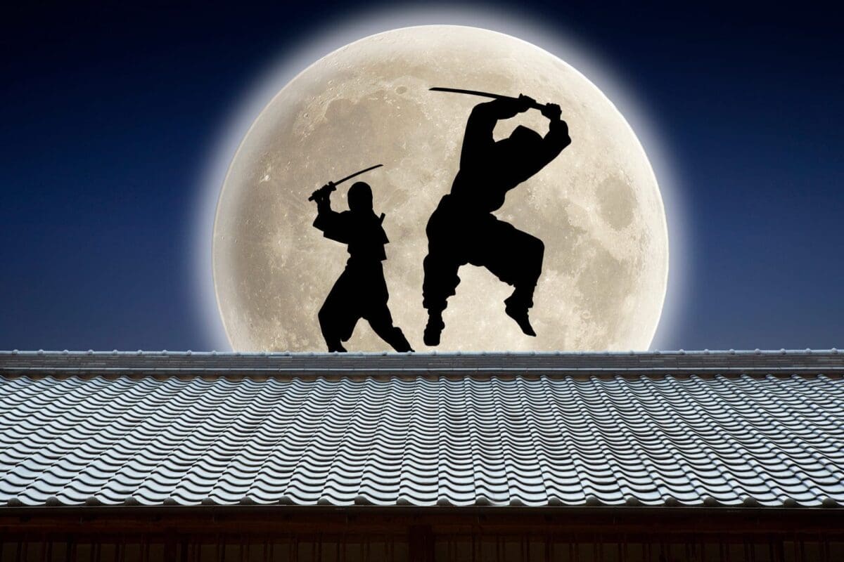 満月を背景に屋根の上で戦う二人の忍者のシルエット